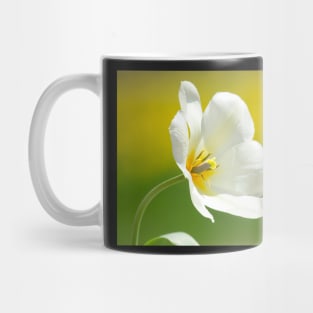 Tulip Mug